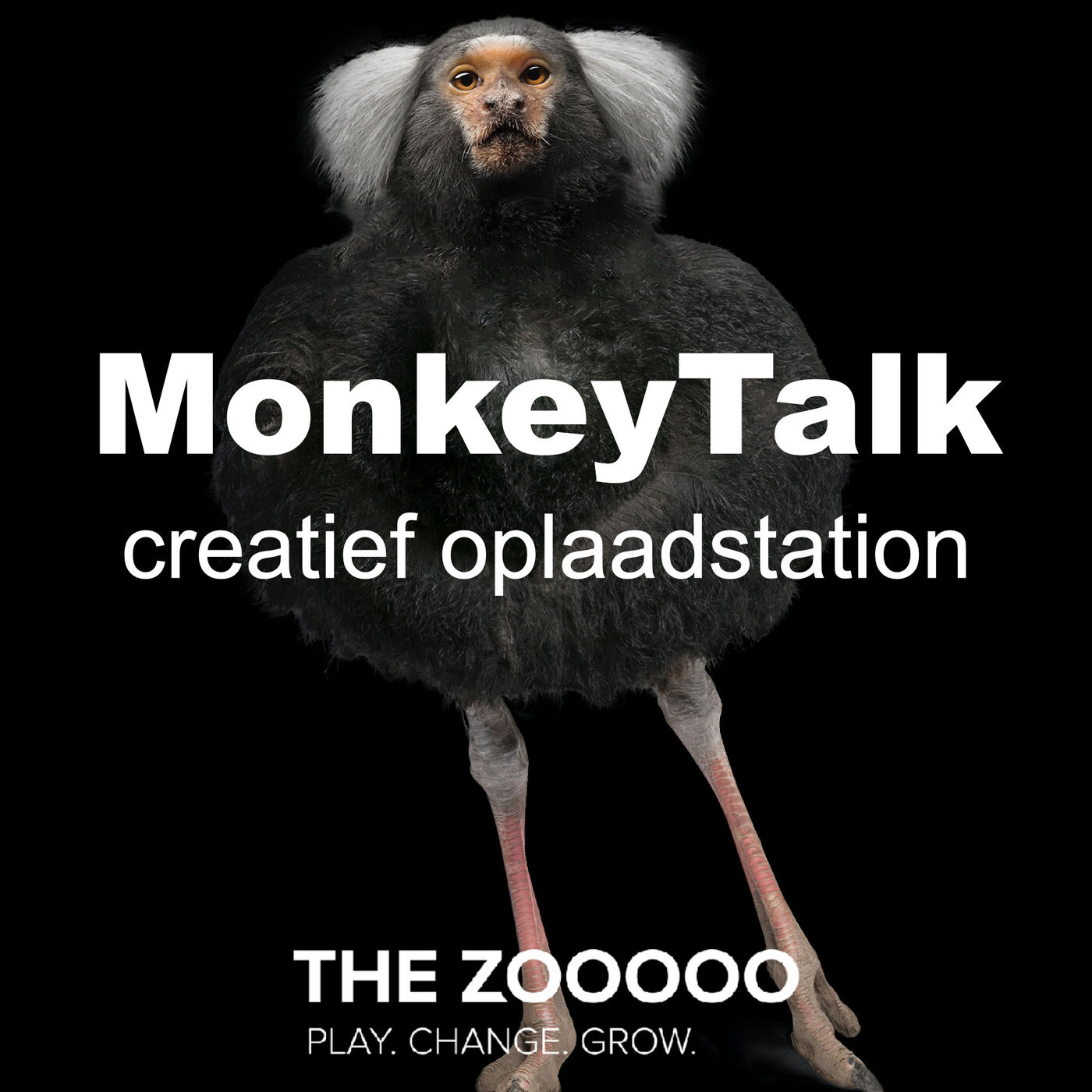 Podcast: Monkey Talk